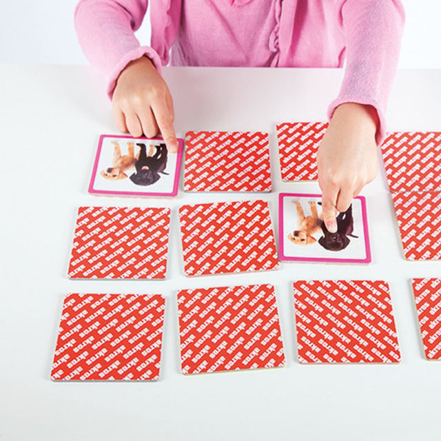 Maxi memory: Kućni ljubimci