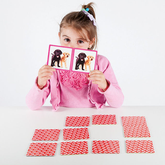 Maxi memory: Kućni ljubimci