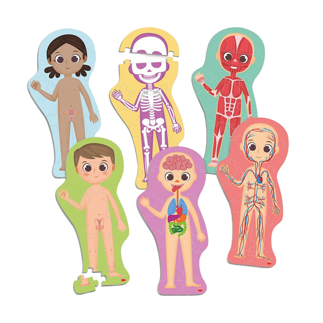 Maxi puzzle: Ljudsko tijelo