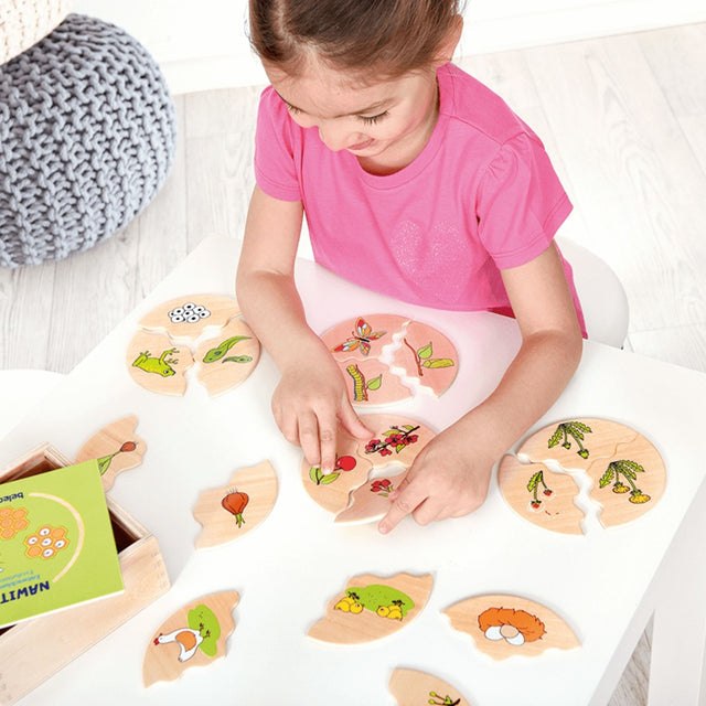 NAWITO puzzle: Evolucija