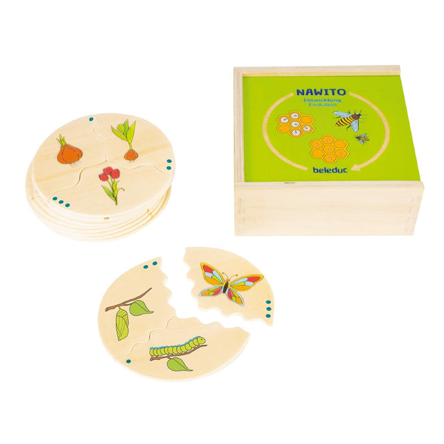 NAWITO puzzle: Evolucija