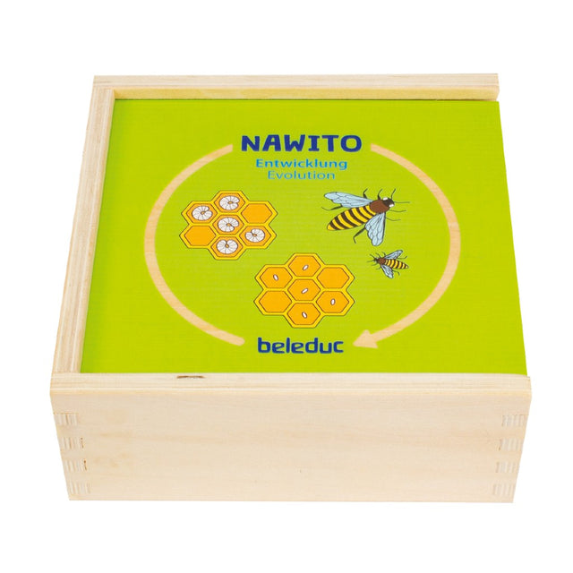 NAWITO puzzle: Evolucija