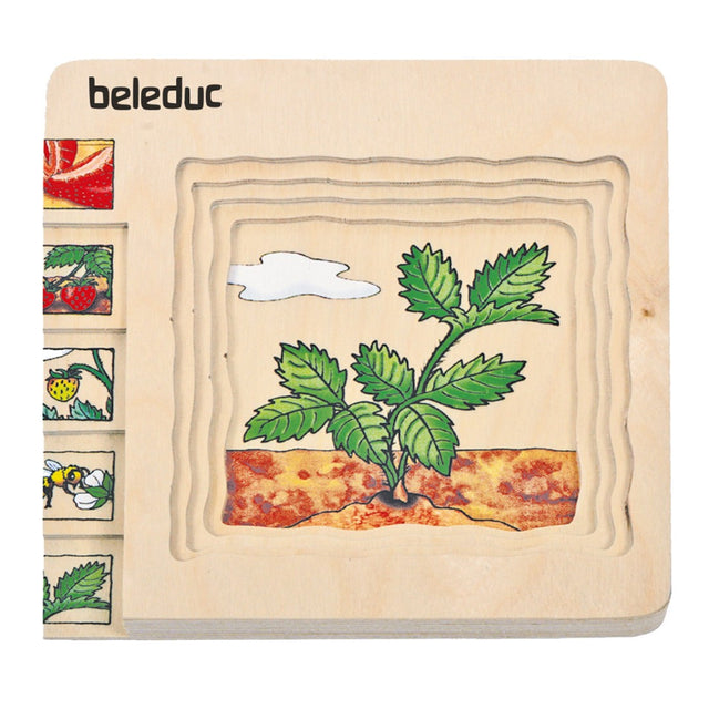 Slojevite puzzle: Jagoda