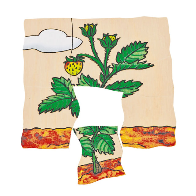 Slojevite puzzle: Jagoda