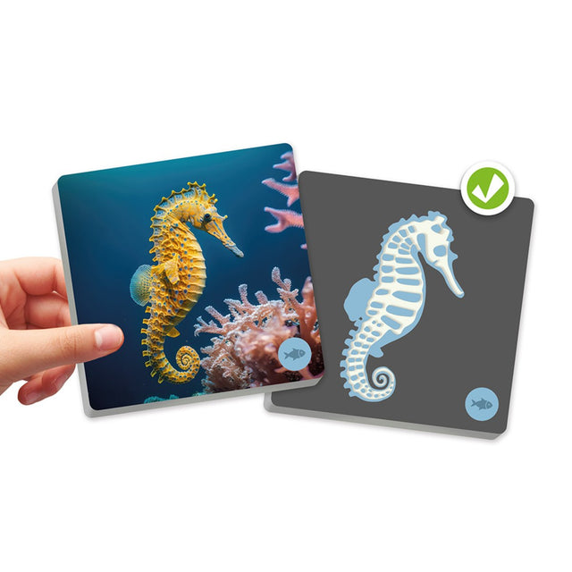 Maxi memory: Životinje i njihovi kosturi