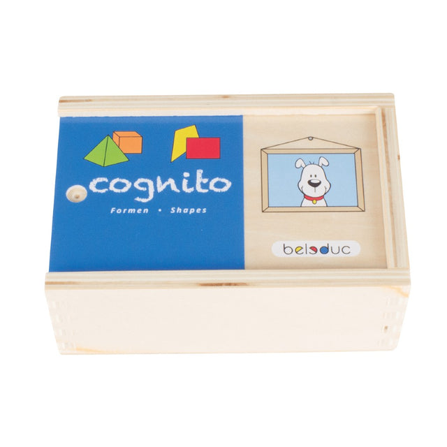 COGNITO slagalica: Oblici