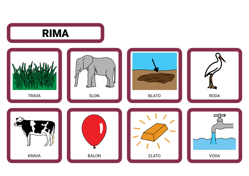INClude® radna ploča, Knjige s komunikacijskim simbolima i Sržni rječnik